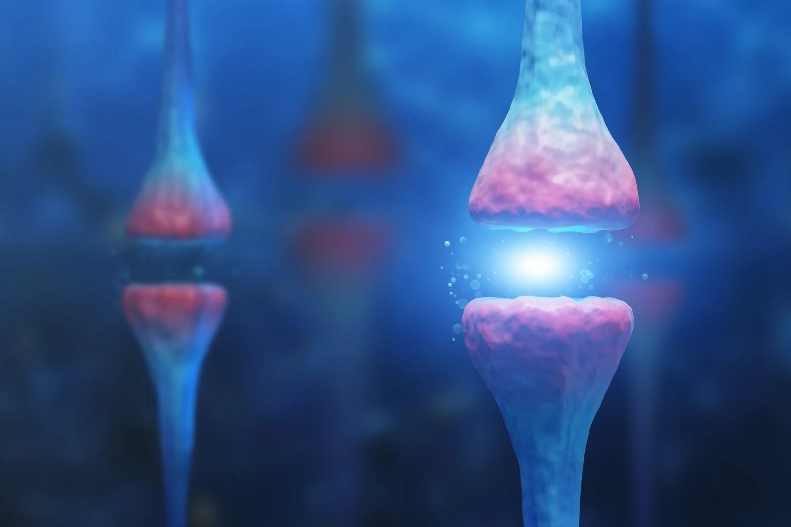 Conceptual illustration of nerve connections