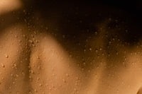 Close-up of a textured brown surface with water droplets.